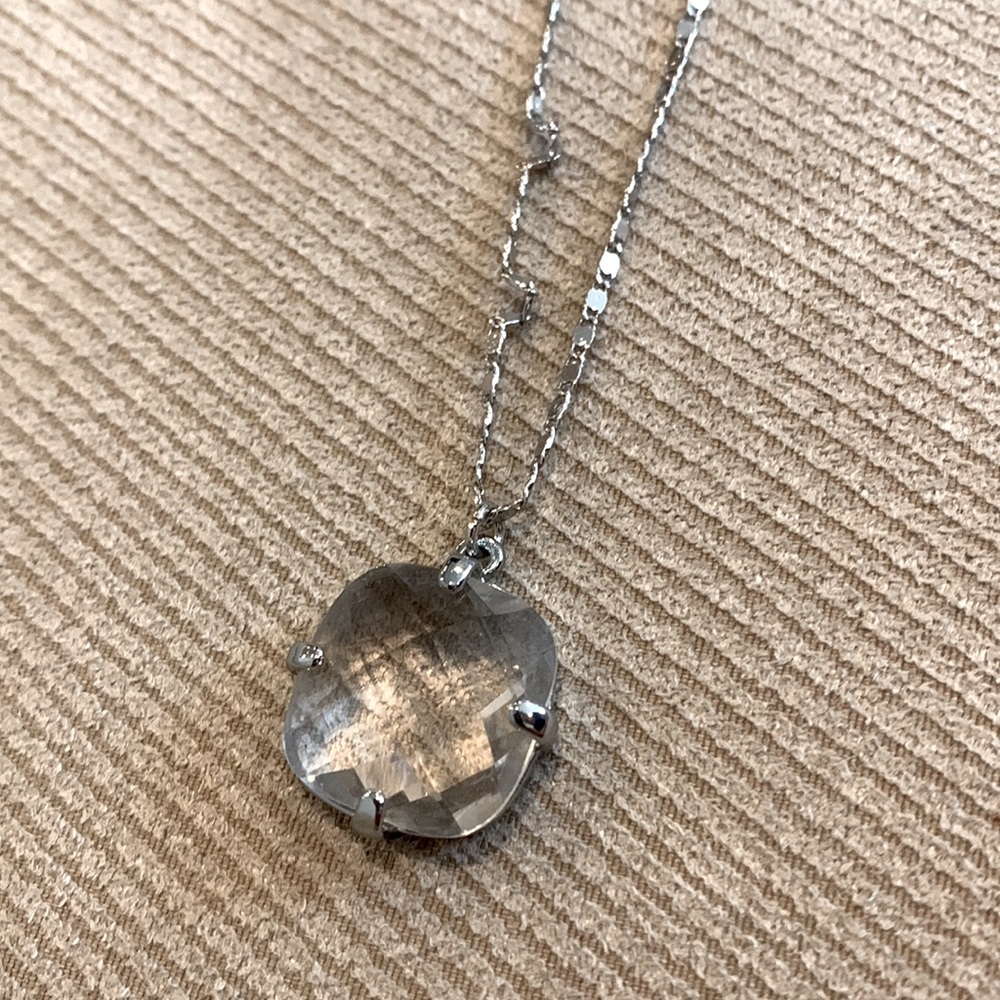 **NWT** express silver necklace
